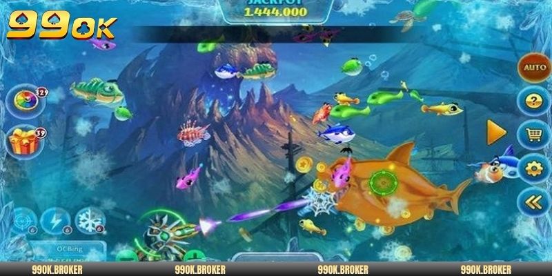 Cần nắm rõ thể lệ săn bắt cá chi tiết 