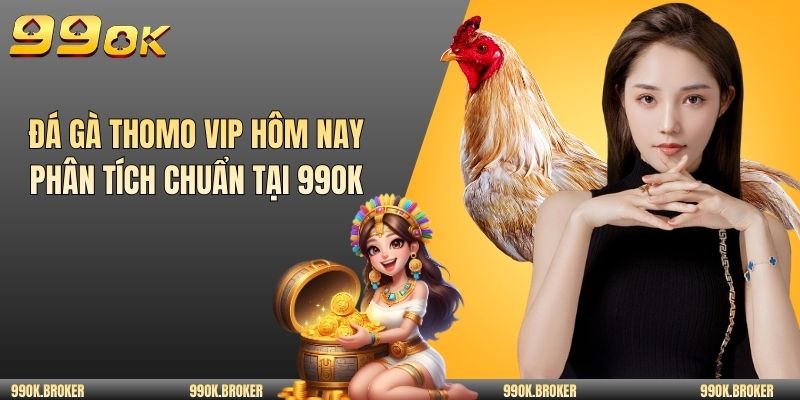 Đá gà Thomo VIP hôm nay