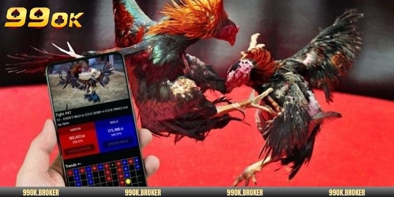  Quy trình 4 bước cược gà đá tiền lớn rõ ràng